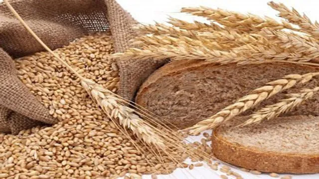 अखरोट की खेती कर किसानों को होगा बेहद मुनाफा
