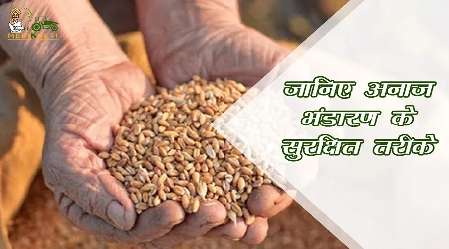 जानिए अनाज भंडारण के सुरक्षित तरीके