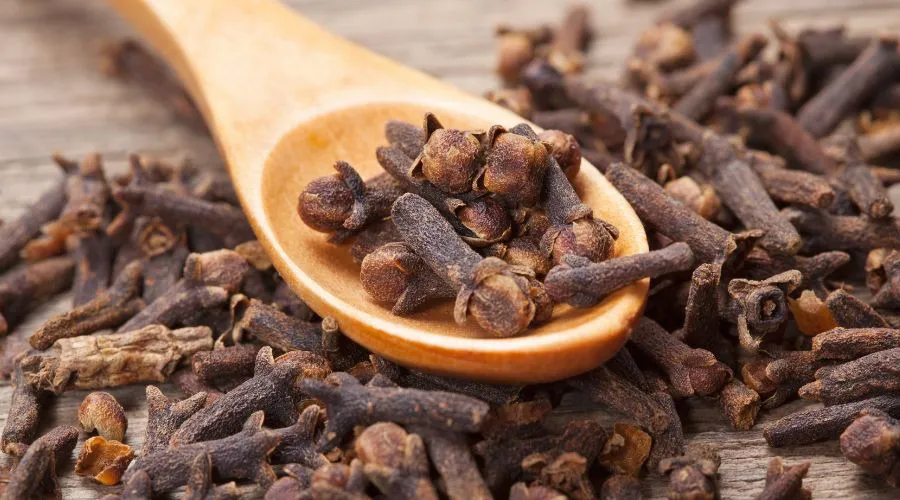What are the benefits and disadvantages of consuming cloves?