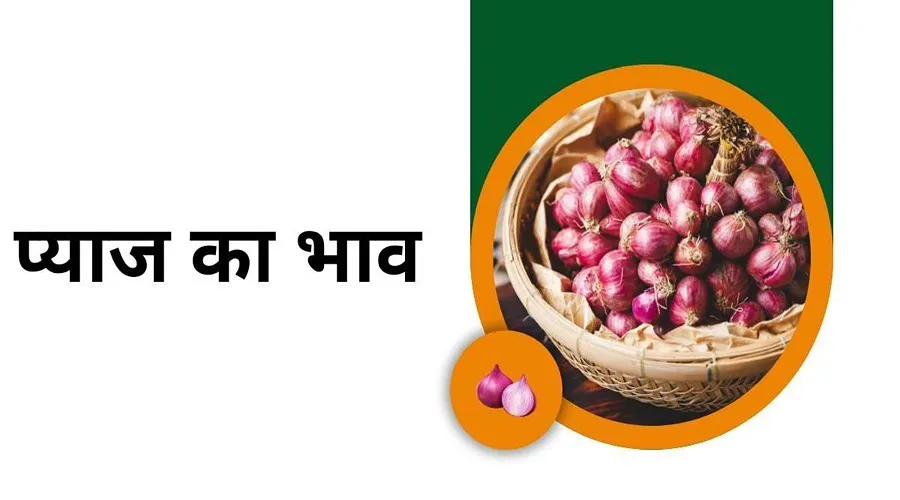 प्याज का भाव 70 रुपये किलो के पार, इस पर लगाम लगाएगी सरकार