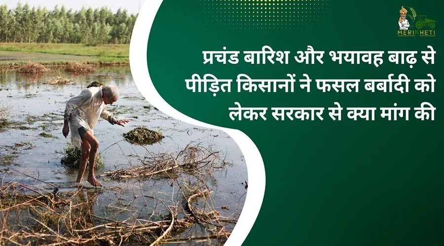 प्रचंड बारिश और भयावय बाढ़ से पीड़ित किसानों ने फसल बर्बादी को लेकर सरकार से क्या मांग की