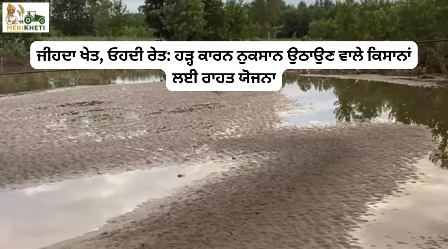 ਜੀਹਦਾ ਖੇਤ, ਓਹਦੀ ਰੇਤ: ਹੜ੍ਹ ਕਾਰਨ ਨੁਕਸਾਨ ਉਠਾਉਣ ਵਾਲੇ ਕਿਸਾਨਾਂ ਲਈ ਰਾਹਤ ਯੋਜਨਾ