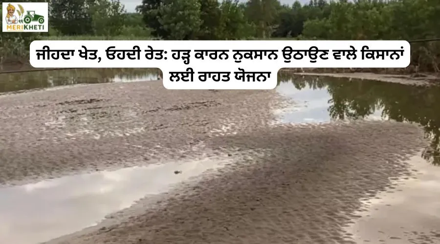 ਜੀਹਦਾ ਖੇਤ, ਓਹਦੀ ਰੇਤ: ਹੜ੍ਹ ਕਾਰਨ ਨੁਕਸਾਨ ਉਠਾਉਣ ਵਾਲੇ ਕਿਸਾਨਾਂ ਲਈ ਰਾਹਤ ਯੋਜਨਾ