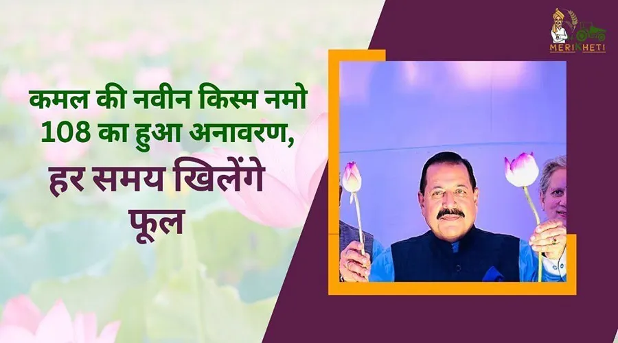 कमल की नवीन किस्म नमो 108 का हुआ अनावरण, हर समय खिलेंगे फूल
