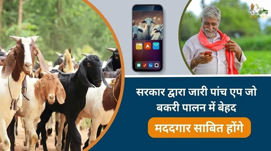सरकार द्वारा जारी पांच एप जो बकरी पालन में बेहद मददगार साबित होंगे