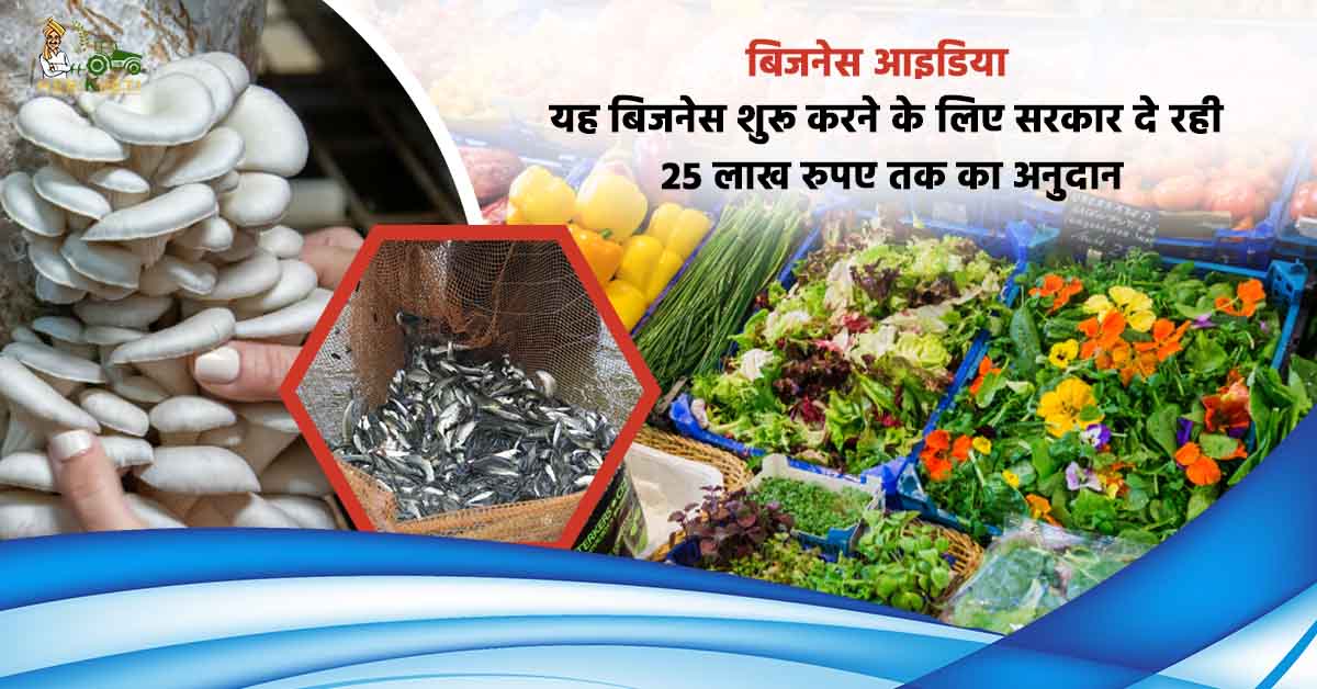 बिजनेस आइडिया: बिजनेस शुरू करने के लिए सरकार दे रही 25 लाख रुपए तक का अनुदान