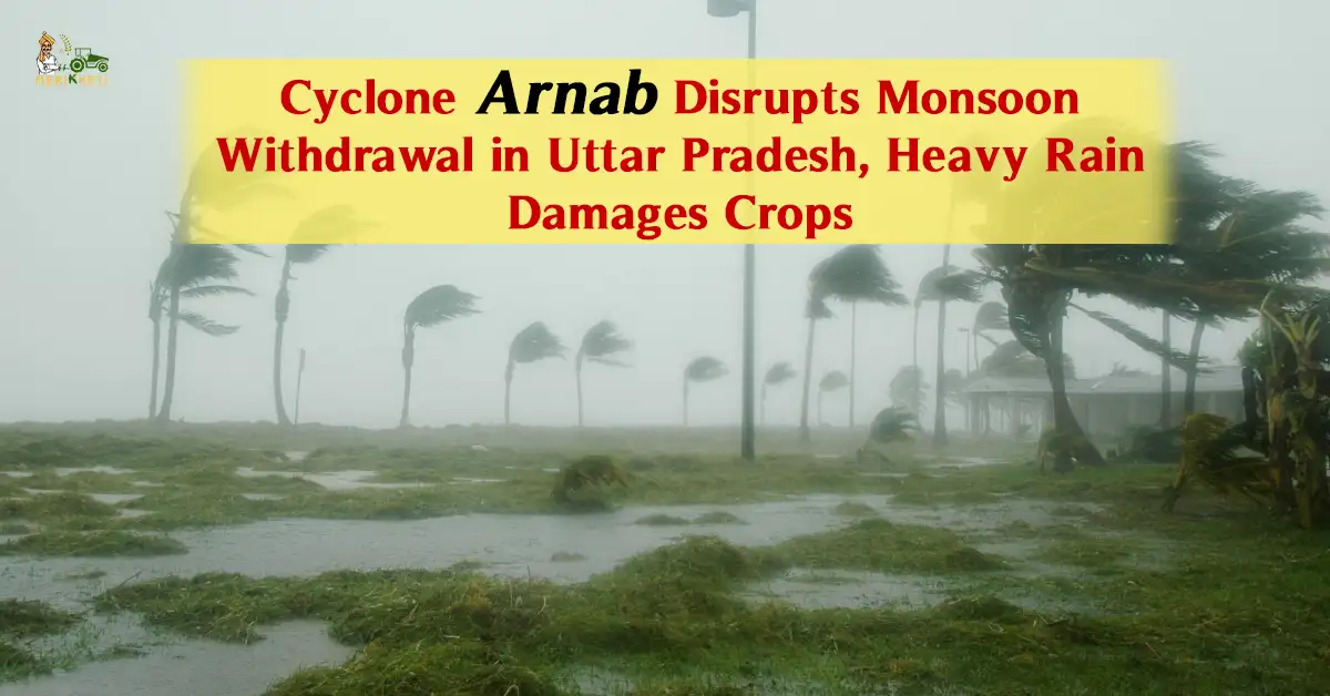 Cyclone Arnab Disrupts Monsoon Withdrawal in Uttar Pradesh, Heavy Rain Damages Crops
