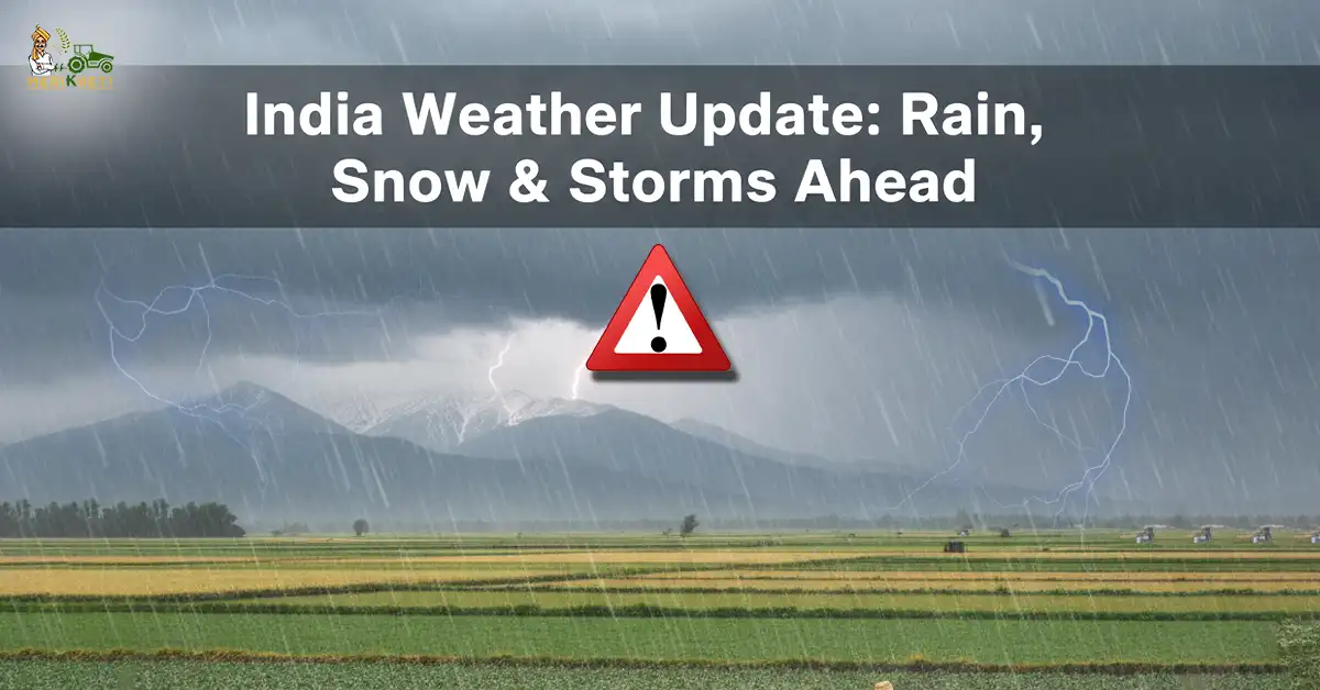 India Weather Update: Rain, Snow & Storms Ahead