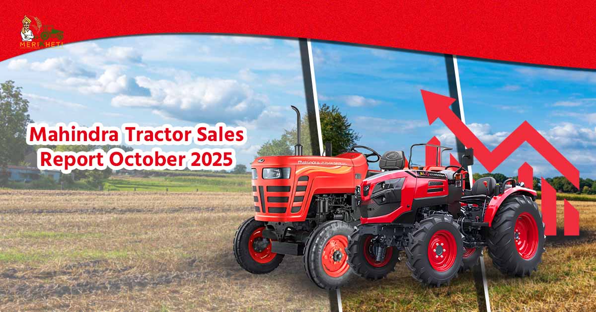 Mahindra Tractor Sales Report October 2025