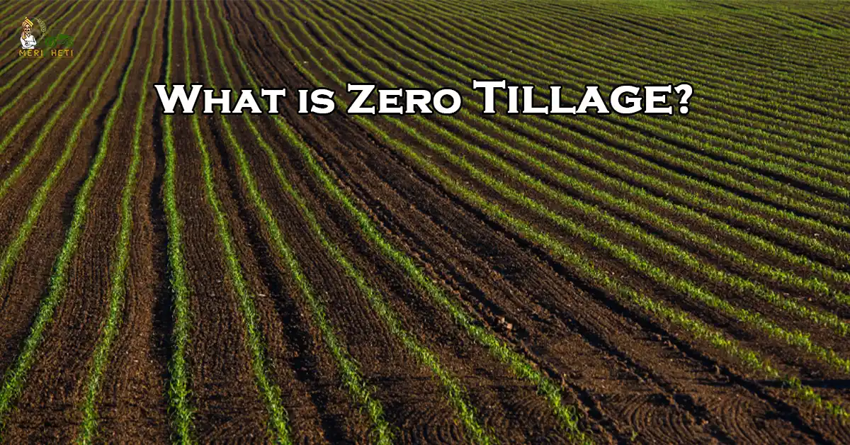 What is Zero Tillage? A Complete Guide for Indian Farmers
