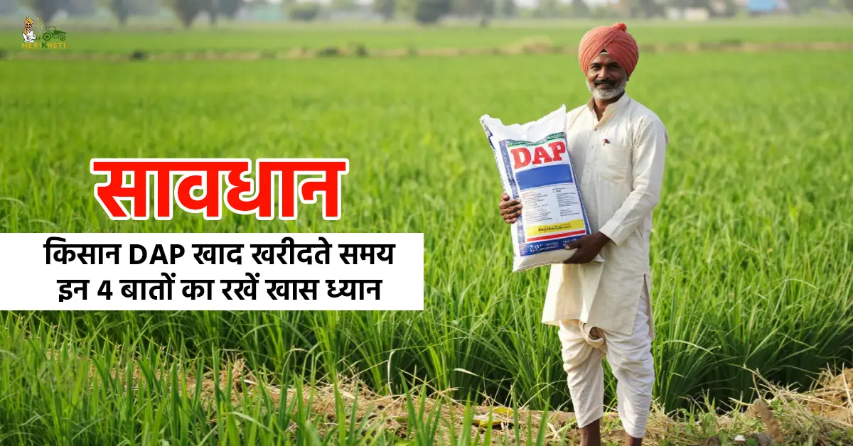 सावधान: किसान DAP खाद खरीदते समय इन 4 बातों का रखें खास ध्यान