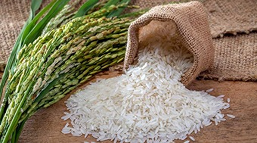 विश्व में नंबर वन श्रेणी की चावल की किस्में, भारत की किस्म का नाम भी शामिल