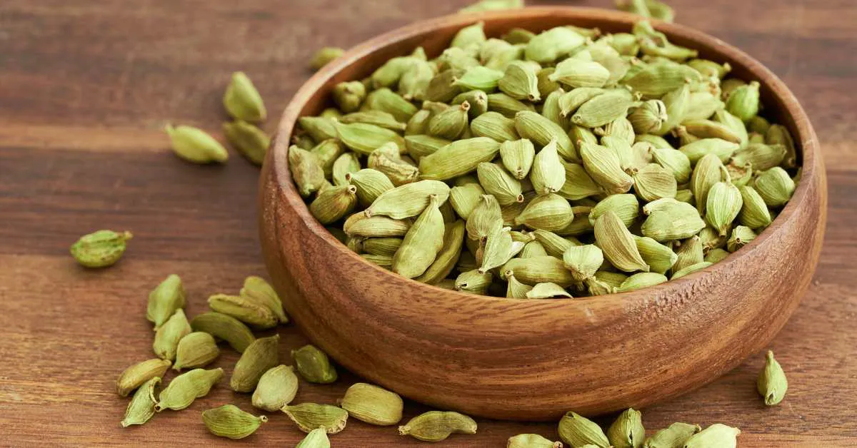 Cardamom Farming: इलायची की खेती कैसे होती है?