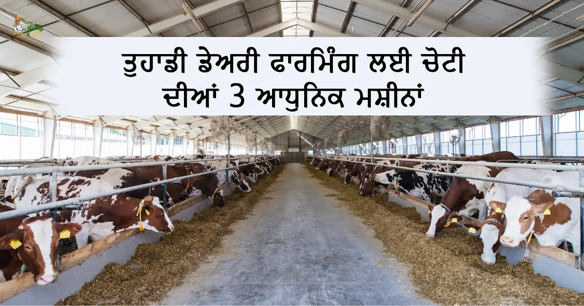 ਡੇਅਰੀ ਫਾਰਮਿੰਗ ਬਿਜ਼ਨਸ ਵਿੱਚ ਸਫਲਤਾ ਲਈ ਇਹ 3 ਮਸ਼ੀਨਾਂ ਹਨ ਬਹੁਤ ਜ਼ਰੂਰੀ, ਸਮੇਂ ਅਤੇ ਮਿਹਨਤ ਦੀ ਬਚਤ ਨਾਲ ਵਧੇਗਾ ਮੁਨਾਫ਼ਾ 