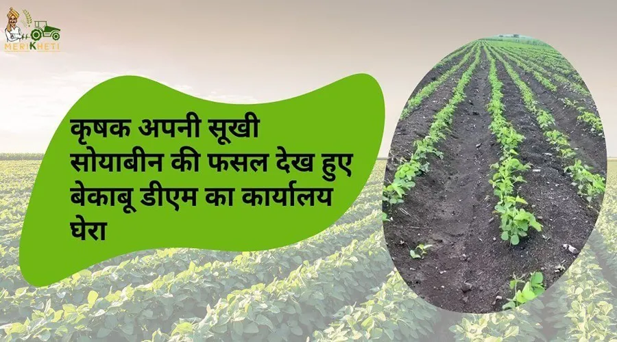 कृषक अपनी सूखी सोयाबीन की फसल देख हुए बेकाबू डीएम का कार्यालय घेरा
