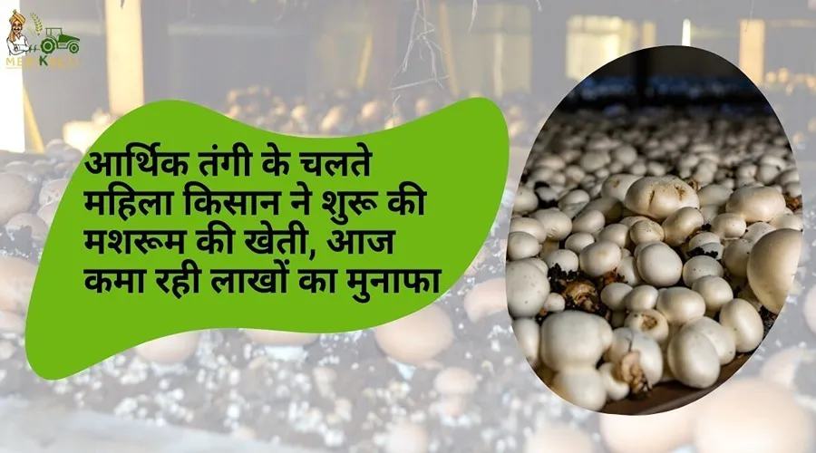 आर्थिक तंगी के चलते महिला किसान ने शुरू की मशरूम की खेती, आज कमा रही लाखों का मुनाफा