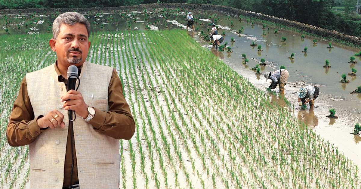 धान की सही बुवाई को लेकर वरिष्ठ कृषि वैज्ञानिक रितेश शर्मा जी का साक्षात्कार 