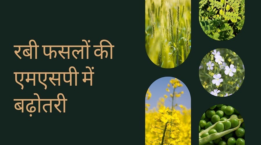 भारत सरकार द्वारा 6 रबी फसलों की एमएसपी में की गई बढ़ोतरी से किसानों में खुशी की लहर