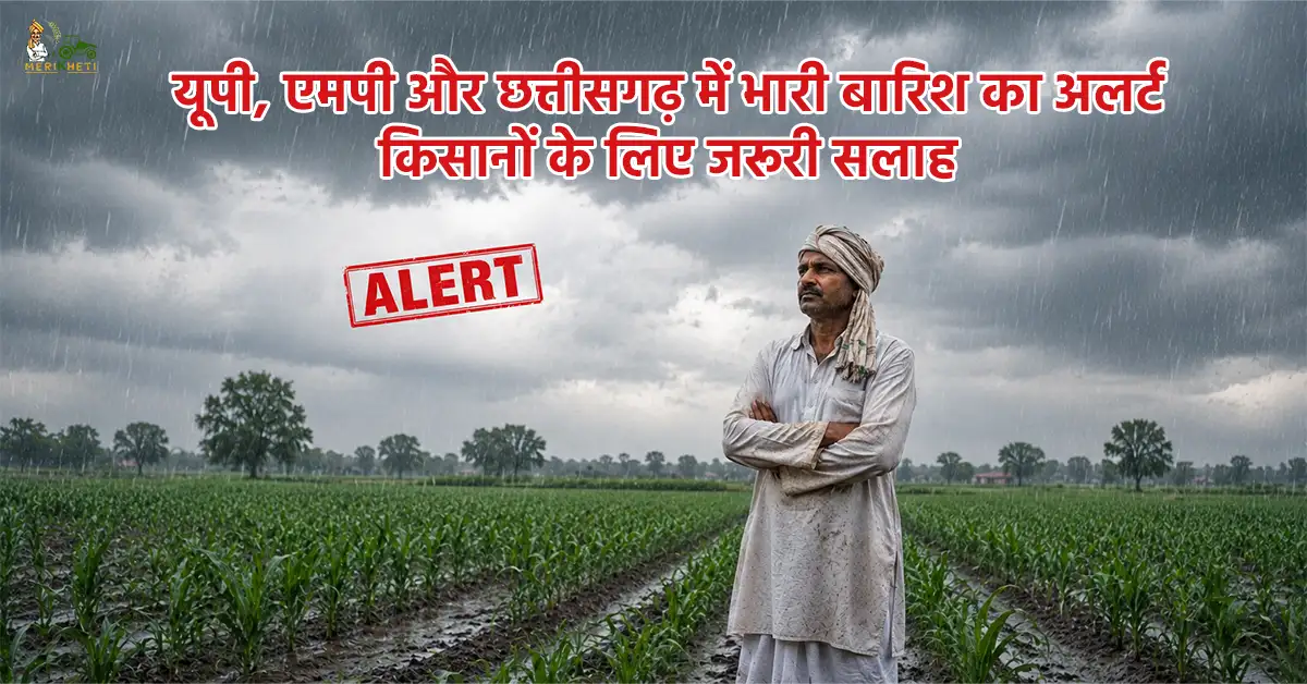 यूपी, एमपी और छत्तीसगढ़ में भारी बारिश का अलर्ट, किसानों के लिए जरूरी सलाह