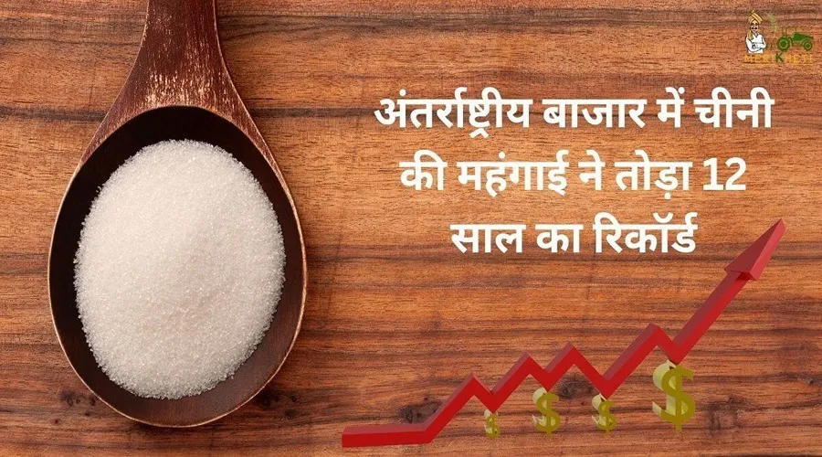अंतर्राष्ट्रीय बाजार में चीनी की महंगाई ने तोड़ा 12 साल का रिकॉर्ड