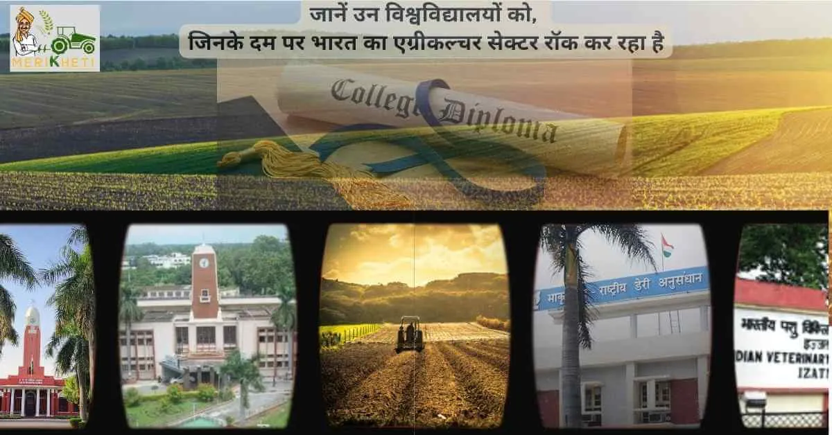 जानें उन विश्वविद्यालयों को, जिनके दम पर भारत का एग्रीकल्चर सेक्टर रॉक कर रहा है
