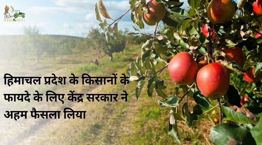 हिमाचल प्रदेश के किसानों के फायदे के लिए केंद्र सरकार ने अहम फैसला लिया