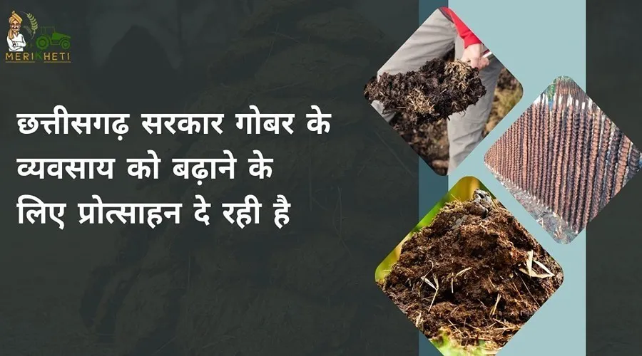 छत्तीसगढ़ सरकार गोबर के व्यवसाय को बढ़ाने के लिए प्रोत्साहन दे रही है