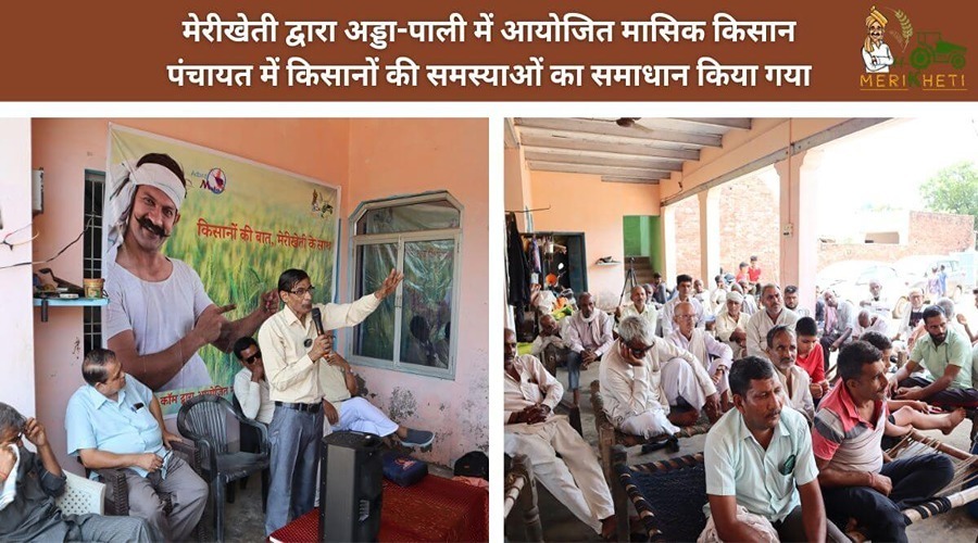 मेरीखेती द्वारा अड्डा-पाली में आयोजित मासिक किसान पंचायत में किसानों की समस्याओं का समाधान किया गया
