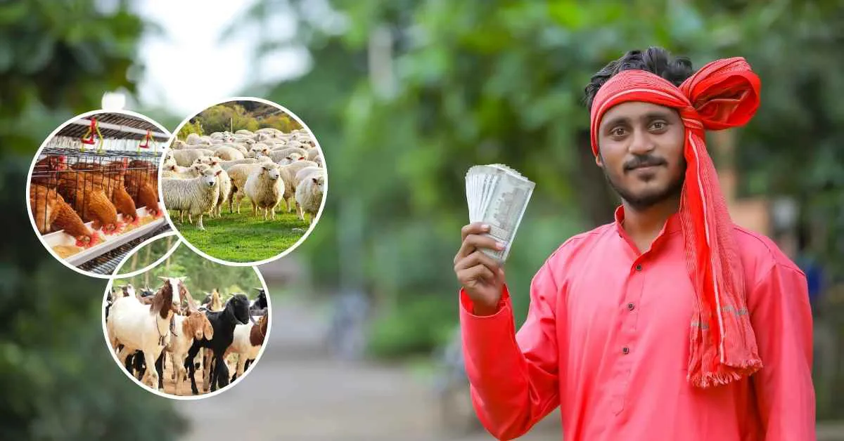 किसानों की 50 लाख तक की मदद करेगी सरकार राष्ट्रीय पशुधन मिशन के तहत, जल्द करें आवेदन