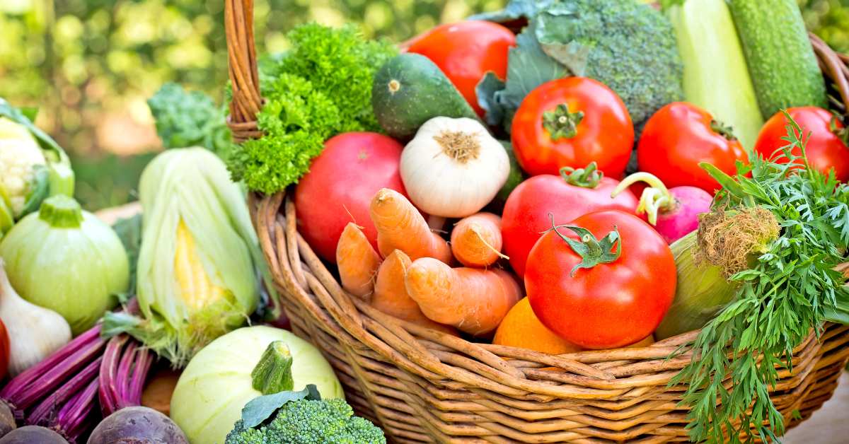 किसान भाई महीनों के अनुरूप सब्जी उगाकर तगड़ा मुनाफा कमा सकते हैं ? 