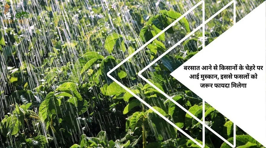 बरसात आने से किसानों के चेहरे पर आई मुस्कान, इससे फसलों को जरूर फायदा मिलेगा