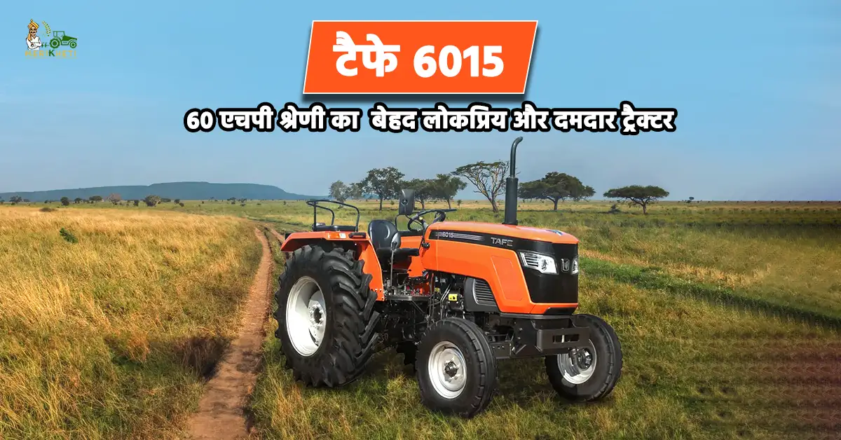 टैफे 6015 : 60 एचपी श्रेणी का  बेहद लोकप्रिय और दमदार ट्रैक्टर 
