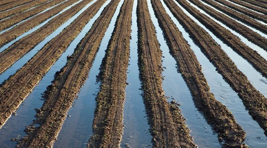 Lower Suktel irrigation project started in the state, and the picture of farmers and agriculture will change.