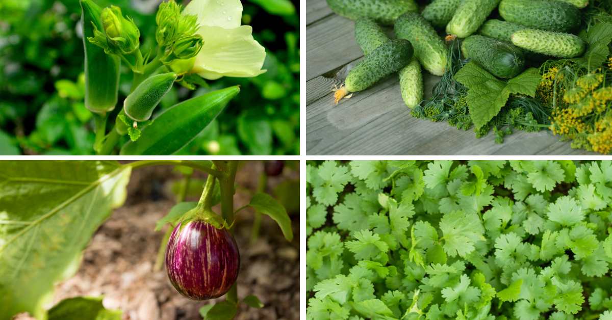 मार्च-अप्रैल में इन टॉप सब्जियों की खेती से मिलेगा मोटा मुनाफा 