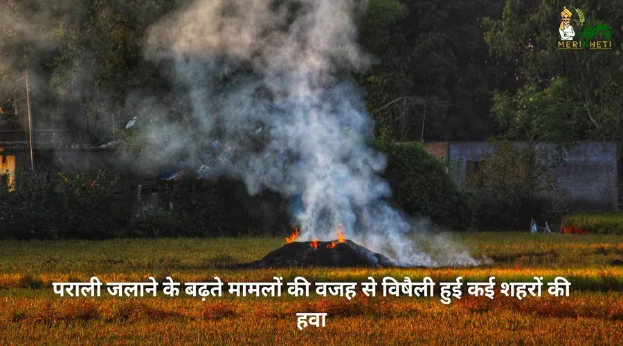 पराली जलाने के बढ़ते मामलों की वजह से विषैली हुई कई शहरों की हवा