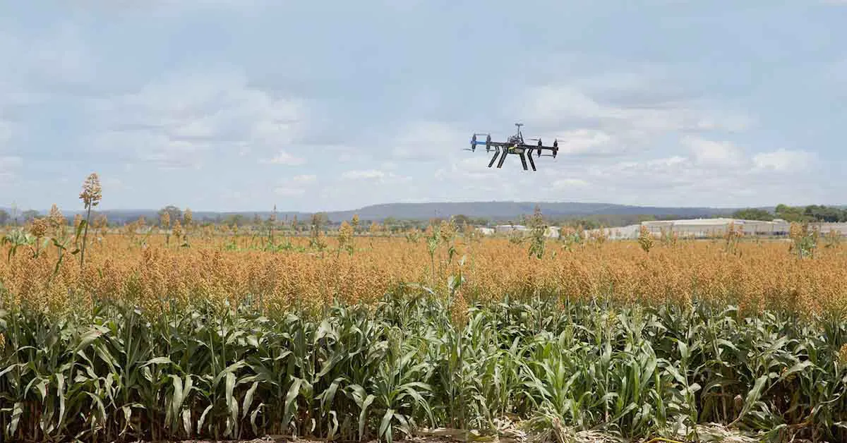 Precision Farming in India
