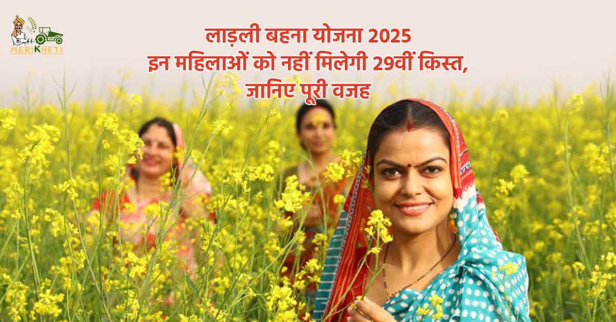 लाड़ली बहना योजना 2025 : इन महिलाओं को नहीं मिलेगी 29वीं किस्त, जानिए पूरी वजह