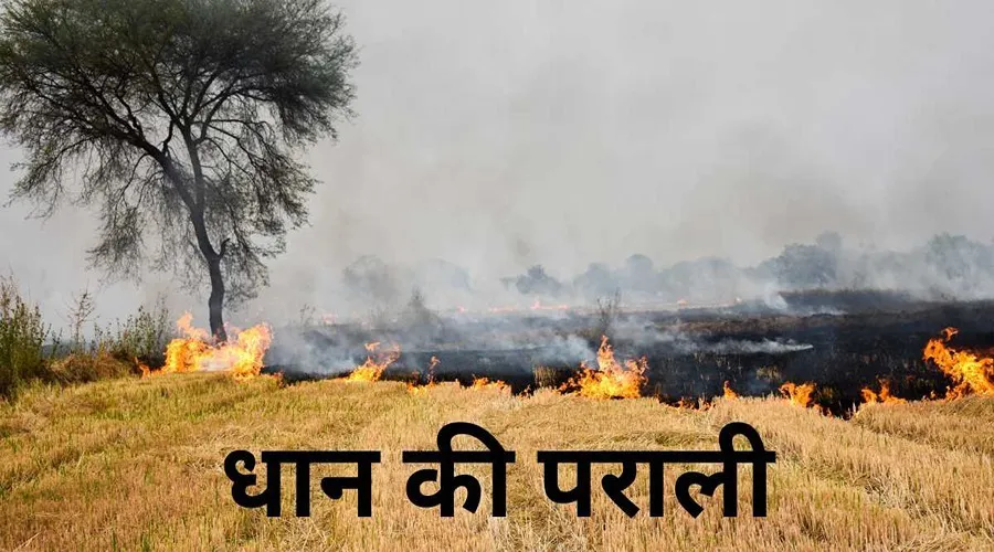 धान की पराली को जलाने की जगह उचित प्रबंधन कर किसान ने लाखों की कमाई की