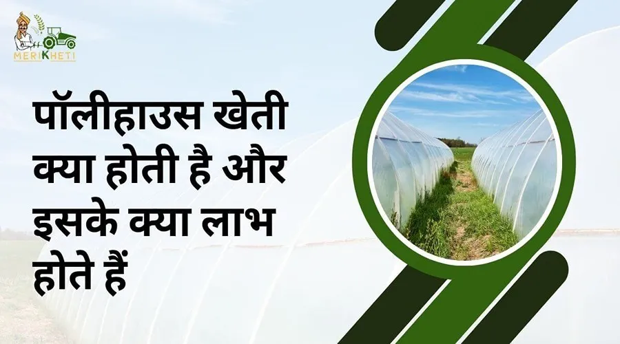 पॉलीहाउस खेती क्या होती है और इसके क्या लाभ होते हैं