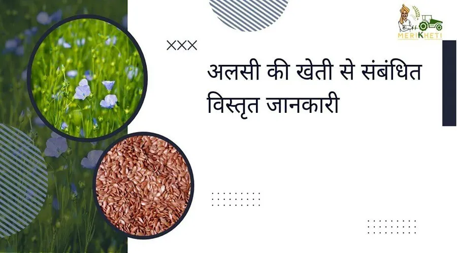 अलसी की खेती से संबंधित विस्तृत जानकारी