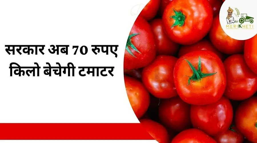 सरकार अब 70 रुपए किलो बेचेगी टमाटर 