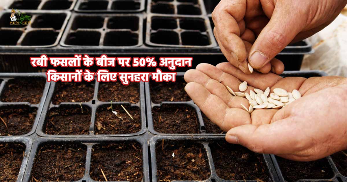 रबी फसलों के बीज पर 50% अनुदान – किसानों के लिए सुनहरा मौका