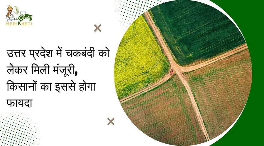 उत्तर प्रदेश में चकबंदी को लेकर मिली मंजूरी, किसानों का इससे होगा फायदा