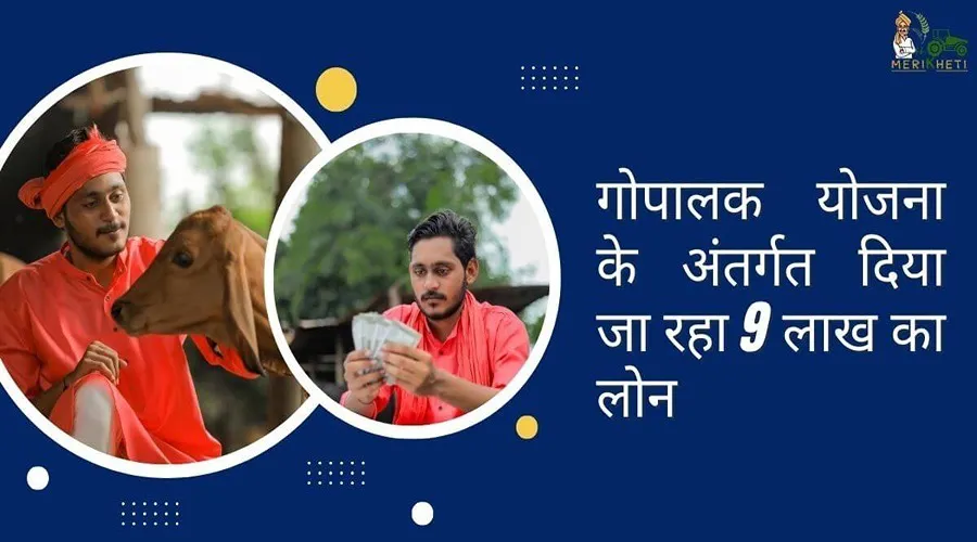 इस राज्य में गोपालक योजना के अंतर्गत बेरोजगार युवाओं को दिया जा रहा 9 लाख का लोन