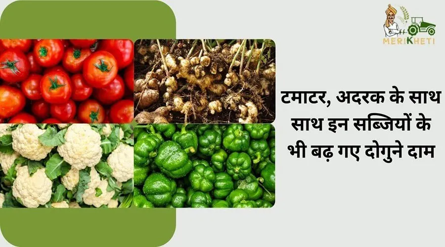 टमाटर, अदरक के साथ साथ इन सब्जियों के भी बढ़ गए दोगुने दाम