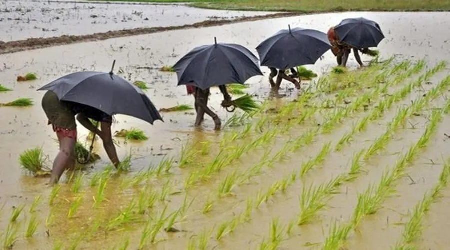 मौसम के मिजाज को समझ कर करें कृषि कार्य