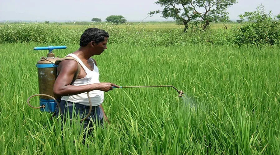 जहरीले रसायनों से मानव सभ्यता को बचाने की तैयारी