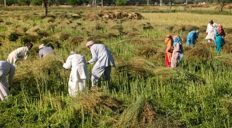 लॉकाडाउन के असर का आकलन करेगा आईसीएआर