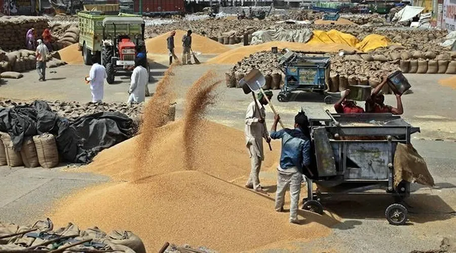 आलू के बाद अब गेहूं का समुचित मूल्य ना मिलने पर किसानों में आक्रोश