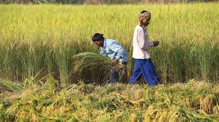 कृषि और किसान को कोरोना से उबारने की तैयारी